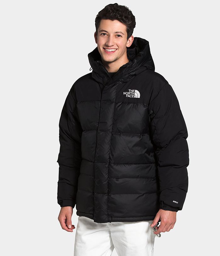 Plumifero The North Face Hombre Negras Hmlyn Parka 32065JIGR